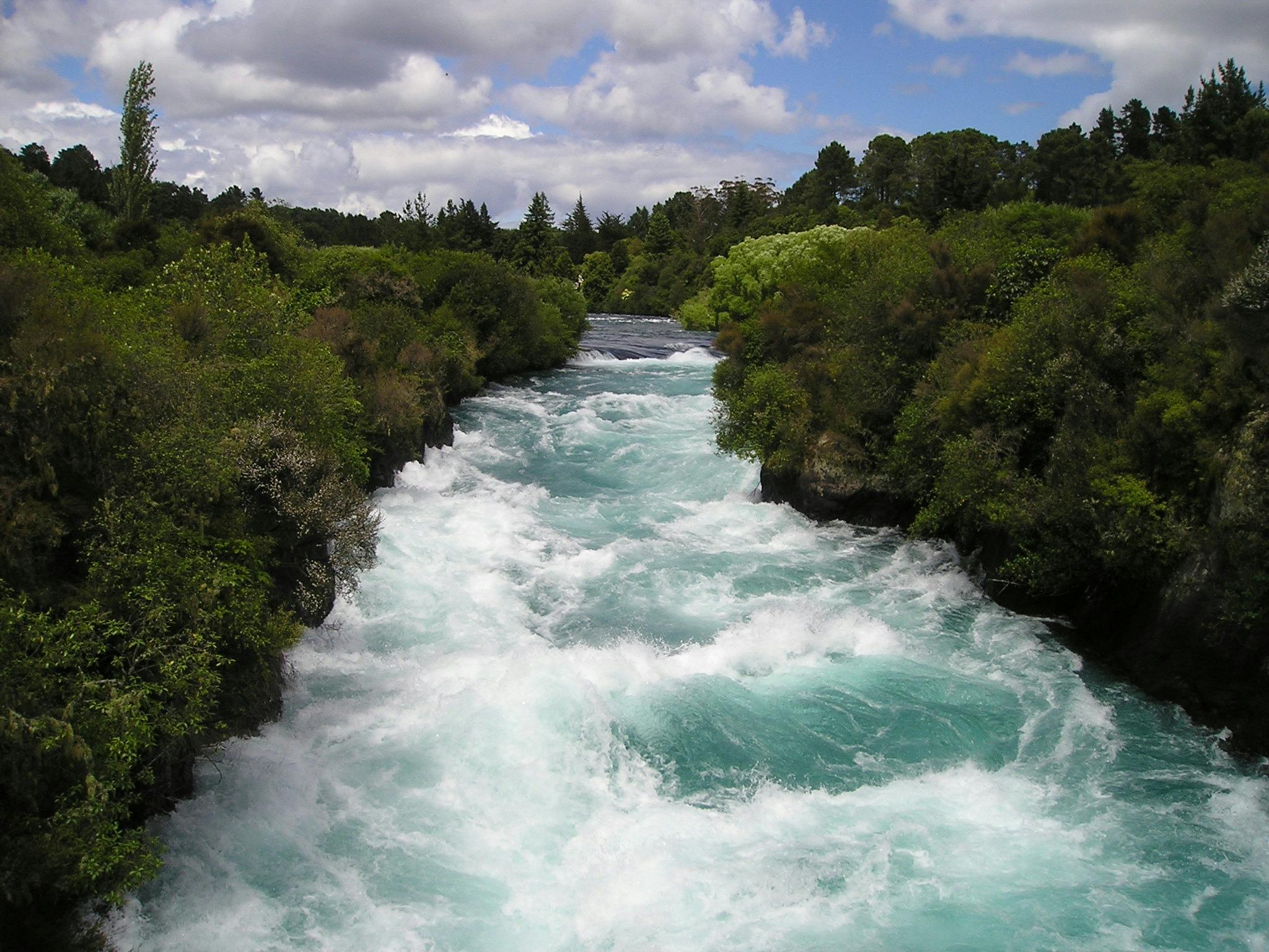 Porting Challenges. Scenic river with white water flowing through lush green trees. 
